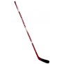 Picture of Warrior Montreal M20 Clear Composite Stick Youth