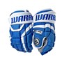 Picture of Warrior Covert DT2 LE Gloves Senior