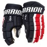 Picture of Warrior Dynasty AX3 Gloves Junior