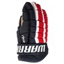 Picture of Warrior Dynasty AX3 Gloves Junior