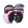 Picture of Warrior Covert DT2 LE Gloves Senior