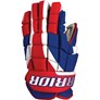 Picture of Warrior Surge LE Gloves Senior