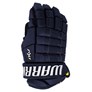 Picture of Warrior Dynasty AX1 Gloves Senior
