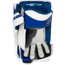 Изображение Warrior Senior Torwartausrüstung Ritual G6.1 E+ Stockhand