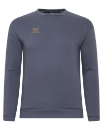Изображение Warrior Senior Bekleidung Aurum Sweatshirt