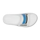 Picture of BAUER OOFOS® Sport Flex Slide - wht/blu - Sr.