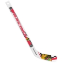 Bild von NHL Mini Plastik Schläger