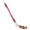 Bild von NHL Mini Plastik Schläger