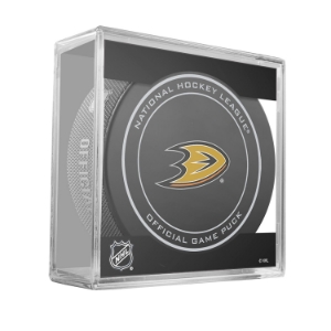 Picture of NHL Offical Game Puck in Cube