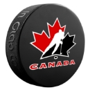 Изображение NHL Souvenir Puck Basic - Blister