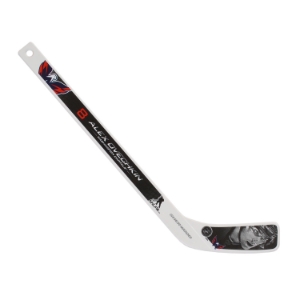 Picture of NHL Star Player Plastic Mini-Player Stick