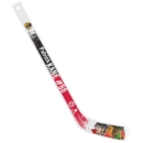 Изображение NHL Star Player Plastic Mini-Player Stick