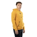 Изображение BAUER FLC Hoodie - gld - Sr.