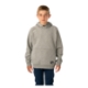 Picture of BAUER Team Hoodie Ultimate - gry - Yth.