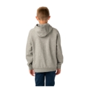 Picture of BAUER Team Hoodie Ultimate - gry - Yth.