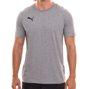 Bild von PUMA Teamgoal T-Shirt Grey Men - 2 Pack