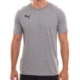 Изображение PUMA Teamgoal T-Shirt Grey Men - 2 Pack